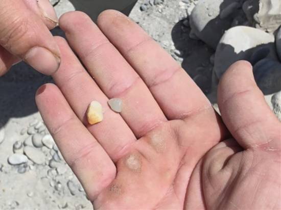 郑州挖玉爆火！男子免费挖出价值3000元好玉