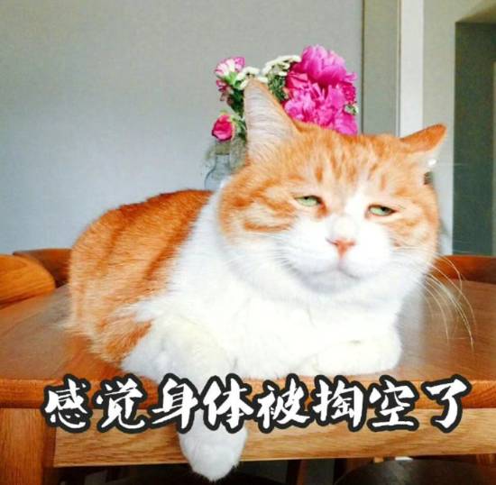 为什么一到年底就感觉身体被掏空：陷入“慢性疲劳”