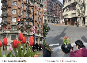 老辈子拍照，为啥让巴黎旅游变成了村口打卡