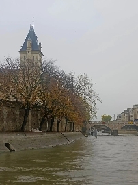 老辈子拍照,为啥让巴黎旅游变成了村口打卡