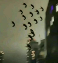 家人们，在人中下面的器官塞进劲辣鸡腿堡会很舒服