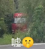 家人们，在人中下面的器官塞进劲辣鸡腿堡会很舒服