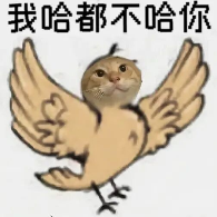 糊得包浆的“我鸟都不鸟你”表情包，怎么成了不少网友的赛博嘴替？