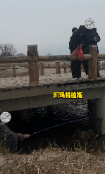 最新的顶级智斗爽剧，是钓鱼佬贴脸嘲讽放生大姨