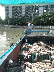 最新的顶级智斗爽剧，是钓鱼佬贴脸嘲讽放生大姨