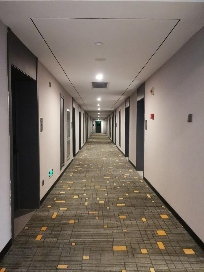 今天你“死了么”？