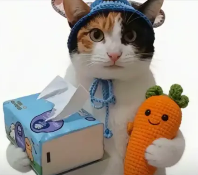 现在互联网上最火的猫,从“耄耋”变成了“萝卜纸巾猫”