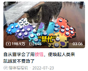 现在互联网上最火的猫,从“耄耋”变成了“萝卜纸巾猫”