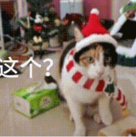 现在互联网上最火的猫,从“耄耋”变成了“萝卜纸巾猫”