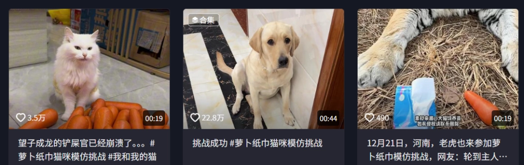 现在互联网上最火的猫,从“耄耋”变成了“萝卜纸巾猫”