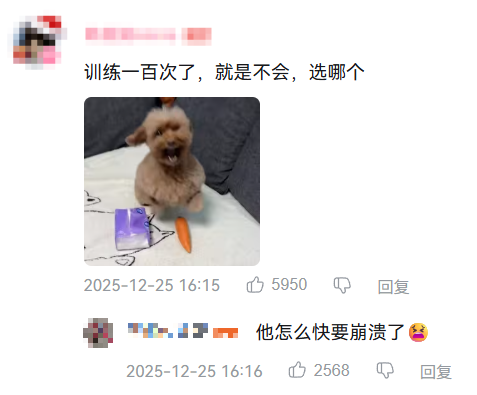 现在互联网上最火的猫,从“耄耋”变成了“萝卜纸巾猫”