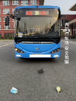 现在互联网上最火的猫,从“耄耋”变成了“萝卜纸巾猫”