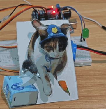 现在互联网上最火的猫,从“耄耋”变成了“萝卜纸巾猫”