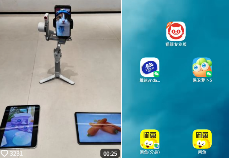 现在互联网上最火的猫,从“耄耋”变成了“萝卜纸巾猫”