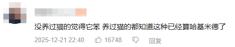 现在互联网上最火的猫,从“耄耋”变成了“萝卜纸巾猫”