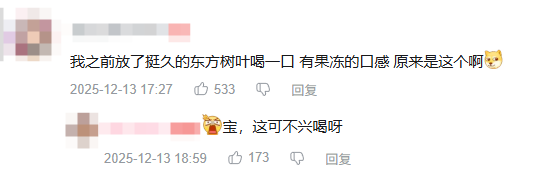 东方树叶变质长出的茶菌,怎么就成为了超越哈基米的宠物界顶流?