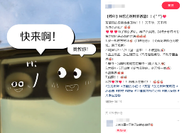 东方树叶变质长出的茶菌,怎么就成为了超越哈基米的宠物界顶流?