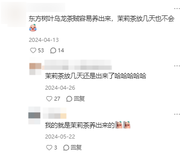 东方树叶变质长出的茶菌,怎么就成为了超越哈基米的宠物界顶流?