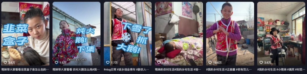 看完小雨妹和沧州老蒯的联动,东北雨姐没必要转世复活了