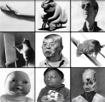 诡异的婴儿流口水黑白大头照，怎么就成为了网友摆烂专用表情包？