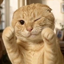 为什么在“金融DJ”后，各行各业都加入了“DJ宇宙”？