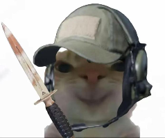 “没建模没经济”的“干嘛猫”,就不能收获属于自己的幸福吗?