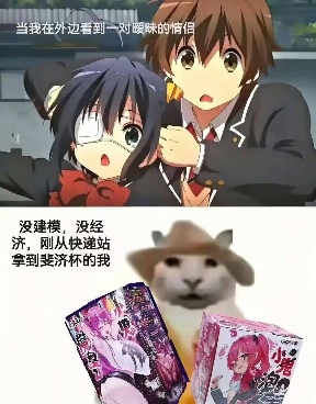 “没建模没经济”的“干嘛猫”,就不能收获属于自己的幸福吗?