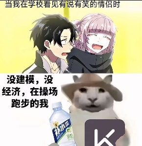 “没建模没经济”的“干嘛猫”,就不能收获属于自己的幸福吗?