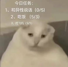 “没建模没经济”的“干嘛猫”,就不能收获属于自己的幸福吗?