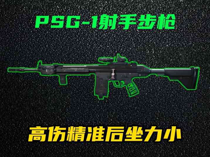 三角洲行动【全面战场】PSG-1高伤高精准利器，中远距离步枪手必备！