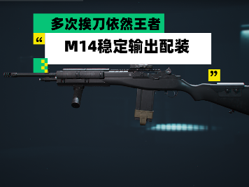 三角洲行动【全面战场】多次挨刀依然王者 M14稳定输出配装