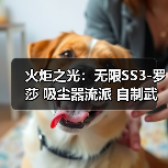 火炬之光:无限SS3-罗莎 吸尘器流派 自制武器进阶讲解(非常细)(图2) 火炬之光:无限SS3-罗莎 吸尘器流派 自制武器进阶讲解(非常细)(图2)