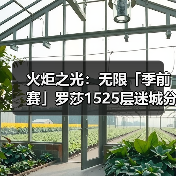 火炬之光:无限「季前赛」罗莎1525层迷城分享「迷城专攻」(图1) 火炬之光:无限「季前赛」罗莎1525层迷城分享「迷城专攻」(图1)