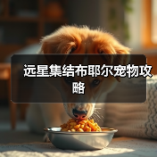 远星集结布耶尔宠物攻略(图4) 远星集结布耶尔宠物攻略(图4)