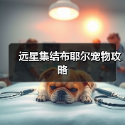 远星集结布耶尔宠物攻略(图3) 远星集结布耶尔宠物攻略(图3)