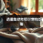 远星集结布耶尔宠物攻略(图2) 远星集结布耶尔宠物攻略(图2)