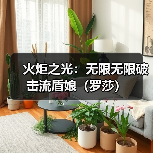 火炬之光:无限无限破击流盾娘(罗莎)(图4) 火炬之光:无限无限破击流盾娘(罗莎)(图4)