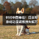 针对中国等地!日本称游戏动漫盗版损失超万亿需打击(图3) 针对中国等地!日本称游戏动漫盗版损失超万亿需打击(图3)