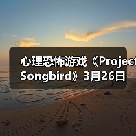 心理恐怖游戏《Project Songbird》3月26日发售(图1) 心理恐怖游戏《Project Songbird》3月26日发售(图1)