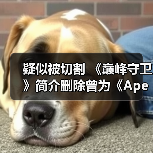 疑似被切割 《巅峰守卫》简介删除曾为《Apex英雄》制作团队(图3) 疑似被切割 《巅峰守卫》简介删除曾为《Apex英雄》制作团队(图3)