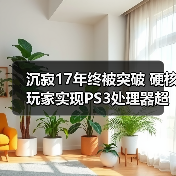 沉寂17年终被突破 硬核玩家实现PS3处理器超频(图2) 沉寂17年终被突破 硬核玩家实现PS3处理器超频(图2)