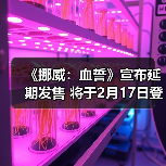 《挪威:血誓》宣布延期发售 将于2月17日登陆PC平台(图2) 《挪威:血誓》宣布延期发售 将于2月17日登陆PC平台(图2)