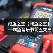 咸鱼之王【咸鱼之王】—咸鱼音乐节前五关三套通刷阵容（总有一套适合你）