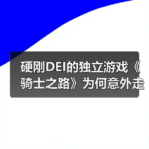 硬刚DEI的独立游戏《骑士之路》为何意外走红？（图4）