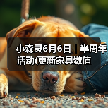 小森灵6月6日｜半周年活动(更新家具数值