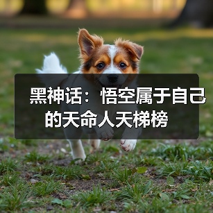 黑神话：悟空属于自己的天命人天梯榜
