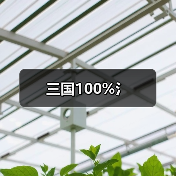 三国100%氵