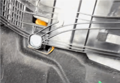 乘客带螃蟹上车后失踪，两年后车内竟发现活体